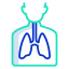 Lungs icon 64x64