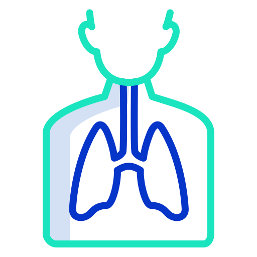 Lungs icon