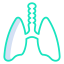 Lungs icon 64x64