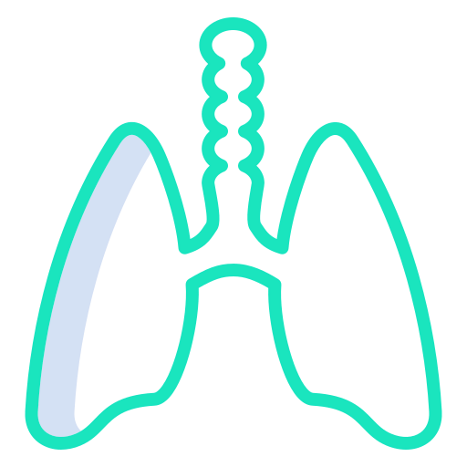Lungs icon