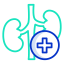 Kidney icon 64x64