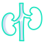 Kidney icon 64x64
