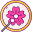 Sakura アイコン 64x64
