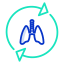 Lungs icon 64x64