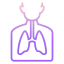 Lungs icon 64x64