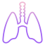 Lungs icon 64x64
