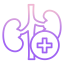 Kidney icon 64x64