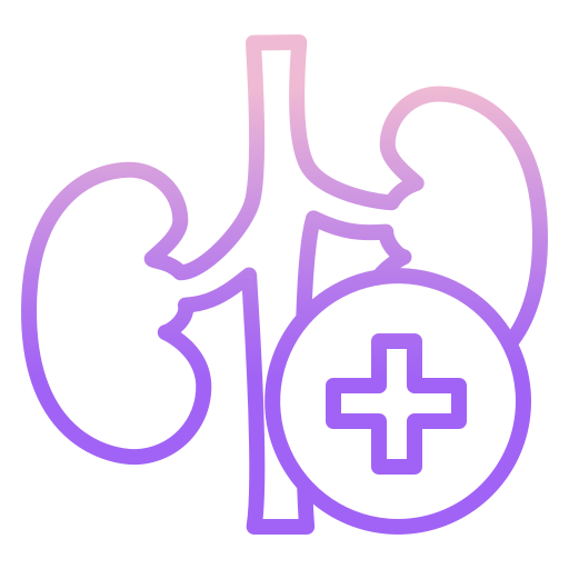 Kidney icon