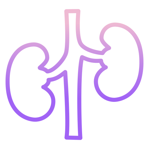 Kidney icon