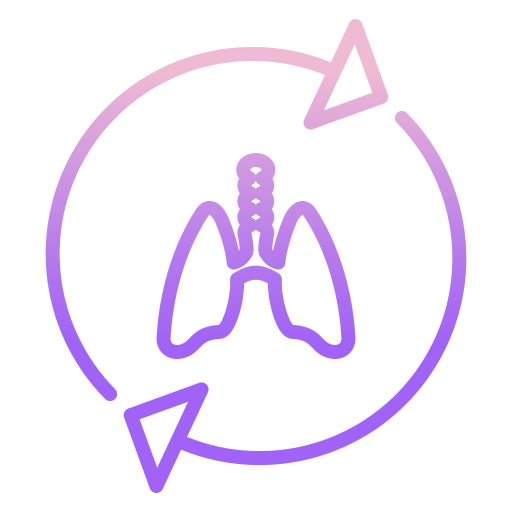 Lungs icon
