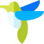 Hummingbird icon 64x64