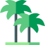 Palm trees icon 64x64