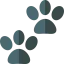 Footprint icon 64x64