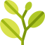 Coca leaves Ikona 64x64