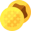 Oblea icon 64x64