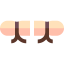 Contraceptive methods icon 64x64