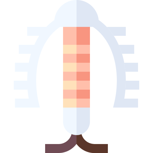 IUD icon