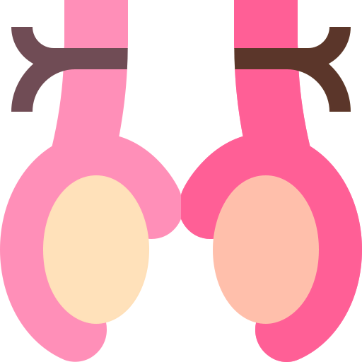 Vasectomy icon