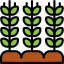 Wheat icon 64x64