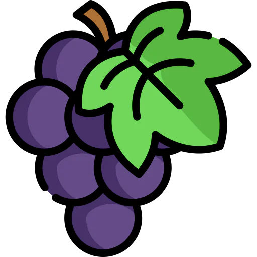 Grape icon
