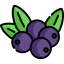 Berry icon 64x64