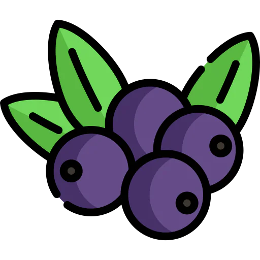 Berry icon