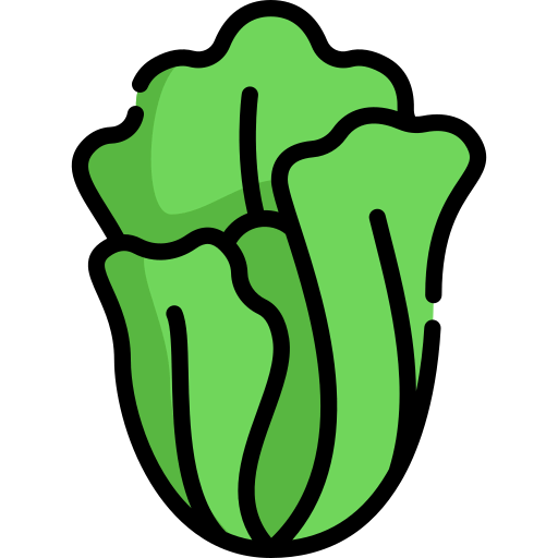 Lettuce icon
