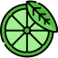 Lime icon 64x64