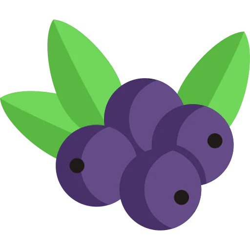 Berry icon