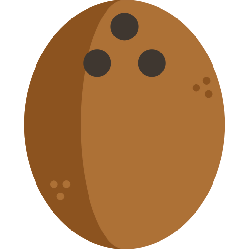 Coconut icon