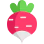 Radish icon 64x64