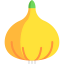 Onion icon 64x64