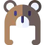 Bear hat icon 64x64