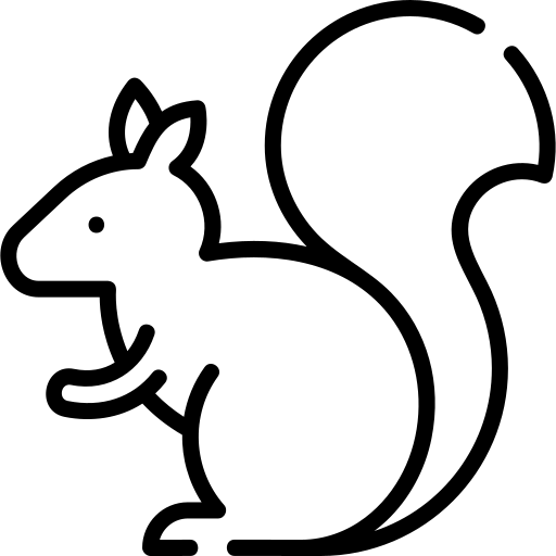 Squirrel Symbol