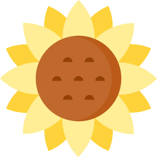 Sunflower icon