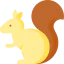 Squirrel icon 64x64