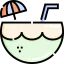Coconut drink icon 64x64