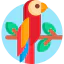 Parrot icon 64x64