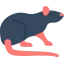 Rat icon 64x64