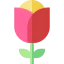 Flower icon 64x64