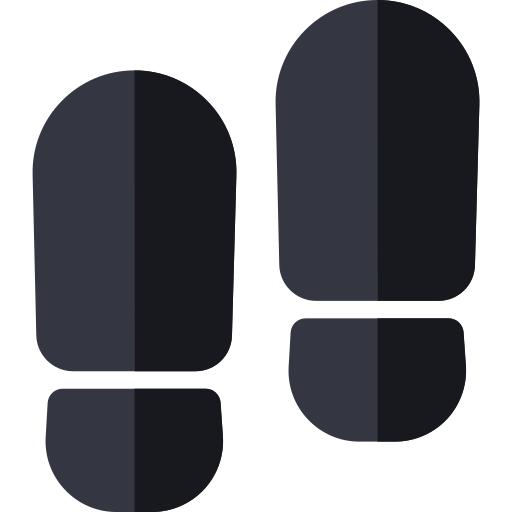 Footprints icon