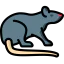 Rat icon 64x64
