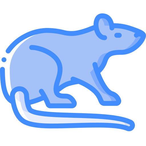 Rat icon