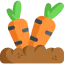 Carrot icon 64x64