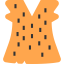 Clothes icon 64x64