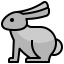 Rabbit icon 64x64