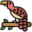 Bird icon 64x64