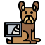 X ray icon 64x64