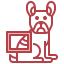 X ray icon 64x64