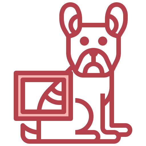 X ray icon